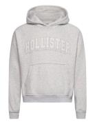 Hco. Guys Sweatshirts Tops Sweatshirts & Hoodies Hoodies Grey Holliste...