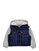 Levi's® Hooded Trucker Jacket Outerwear Jackets & Coats Denim & Cordur...