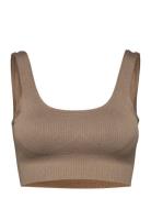 Espresso Ribbed Seamless Bra Lingerie Bras & Tops Sports Bras - All Be...