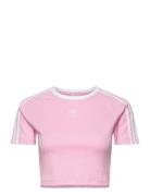 3 S Baby Tee Sport Crop Tops Short-sleeved Crop Tops Pink Adidas Origi...