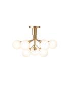 Apiales 9 Ceiling Home Lighting Lamps Ceiling Lamps Flush Mount Ceilin...