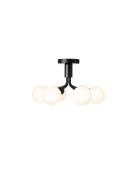 Apiales 6 Ceiling Home Lighting Lamps Ceiling Lamps Flush Mount Ceilin...