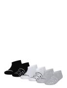 Nhg 6Pk Nike Sneaker Sock / Nhg 6Pk Nike Sneaker Sock Sport Socks & Ti...