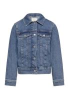 Denim Jacket Outerwear Jackets & Coats Denim & Corduroy Blue Tom Tailo...