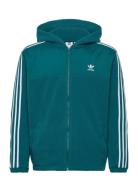 Adidas Adicolor 3Stripes Teddy Fleece Hoodie Sport Men Sport Clothing ...