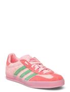 Gazelle Indoor W Sport Women Sport Shoes Sport Sneakers Sport Low Top ...