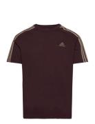 Essentials Single Jersey 3-Stripes T-Shirt Sport Men Men Sports Clothe...