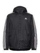 Adidas Essentials 3S Insulated Hooded Jacket Sport Men Sport Clothing ...