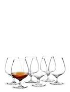 Cabernet Cognacglas 63 Cl 6 Stk. Home Tableware Glass Whiskey & Cognac...