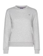 Reg Sweat Tops Sweatshirts & Hoodies Sweatshirts Grey GANT