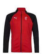 Teamliga Training Jacket Sport Sweatshirts & Hoodies Sweatshirts Red P...