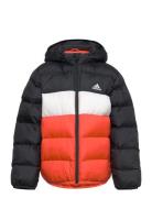 Lk Sd Jkt Outerwear Jackets & Coats Winter Jackets Black Adidas Sports...