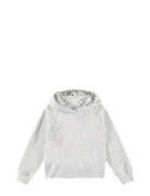 Minelli Tops Sweatshirts & Hoodies Hoodies Grey Molo