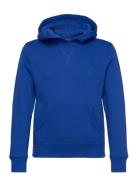 Seasonal Fleece-Ls Po Hood-Tp-Knt Tops Sweatshirts & Hoodies Hoodies B...