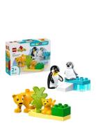 Vilde Dyrefamilier: Pingviner Og Løver 10442 Toys Lego Toys Lego duplo...