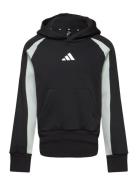 J Cb Fl Hd Sport Sweatshirts & Hoodies Hoodies Black Adidas Sportswear