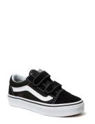 Uy Old Skool V Low-top Sneakers Black VANS