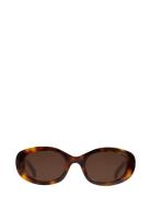 Carpi Tortoise Brown Solbriller Brown Corlin Eyewear