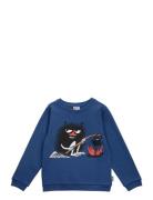 Stinky Collegetröja Ss25 Tops Sweatshirts & Hoodies Sweatshirts Blue M...