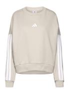 W 3S Ft Swt Sport Sport Clothing Sport Sweatshirts & Hoodies Sport Swe...