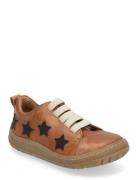 Shoes - Flat - With Lace Low-top Sneakers Brown ANGULUS