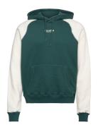 Hco. Guys Sweatshirts Tops Sweatshirts & Hoodies Hoodies Green Hollist...