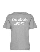 Reebok Identity Big Logo Tee Sport Women Sport Clothing Sports Tops & ...