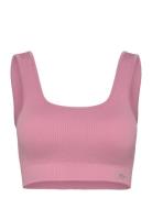 Ribbed Seamless Square Bra Sport Women Sport Clothing Sport Bras - All...