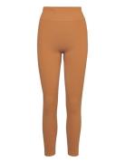 Infuse Evoknit Leggings Sport Running-training Tights Brown PUMA