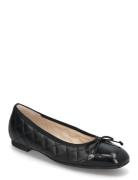 Ballerina Ballerinasko Ballerinaer Black Gabor