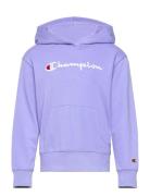 Hooded Sweatshirt Tops Sweatshirts & Hoodies Hoodies Purple Champion