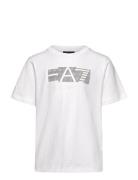 T-Shirt Sport T-Kortærmet Skjorte White EA7