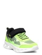 Landskrona Low-top Sneakers Green Leaf