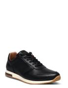 Trilogy Low-top Sneakers Black Dune London