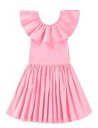 Christal Dresses & Skirts Dresses Partydresses Pink Molo