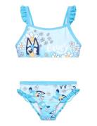 Swimsuit Bikini Blue Bluey