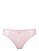 Leia Brazilian Lingerie Panties Brazilian Panties Pink Missya