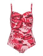 Lilly Swimsuit Badedragt Badetøj Red Missya