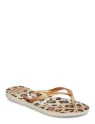 Hav. Slim Animals Shoes Summer Shoes Sandals Flip Flops Beige Havaiana...