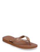 Hav. Top Senses Shoes Summer Shoes Sandals Flip Flops Brown Havaianas
