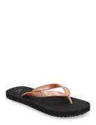 Beach Sandal Monologo Tpu Klipklapper Sandaler Black Calvin Klein