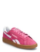 Club C Grounds Uk Sport Sport Shoes Sport Sneakers Sport Low Top Sneak...