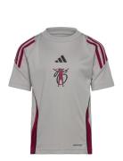 Jb Tiro Jsy Y Sport T-Kortærmet Skjorte Grey Adidas Performance