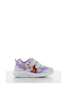 Frozen Sneakers Low-top Sneakers Purple Frost