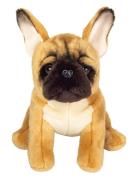 French Bulldog 27 Cm Toys Soft Toys Stuffed Animals Beige Teddy Herman...