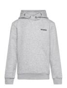 Borg Essential 4 Hoodie Sport Sweatshirts & Hoodies Hoodies Grey Björn...