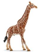 Schleich Giraffe Male Toys Playsets & Action Figures Animals Multi/pat...