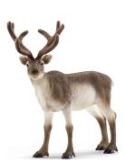 Schleich Reindeer Toys Playsets & Action Figures Animals Brown Schleic...