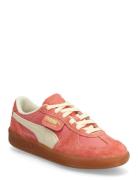 Palermo Vintage Sport Sport Shoes Sport Sneakers Sport Low Top Sneaker...