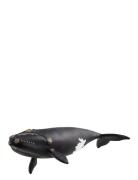 Schleich North Atlantic Right Whale Toys Playsets & Action Figures Ani...